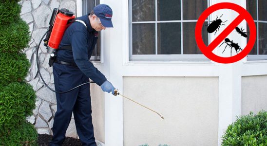 Vezirköprü Fare İlaçlama böcek ilaçlama ve haşere kontrolü — ilaclama-tr.com